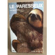 Le paresseux