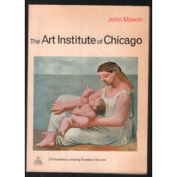 THE ART INSTIOTUTE OF CHICAGO