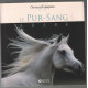 Chevaux d'exception : le pur sang arabe