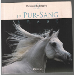 Chevaux d'exception : le pur sang arabe