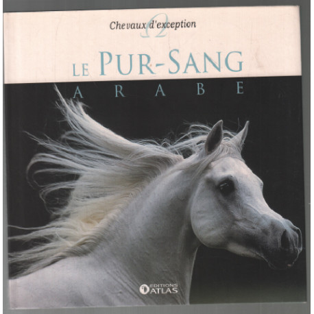 Chevaux d'exception : le pur sang arabe