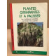 Plantes grimpantes et à palisser