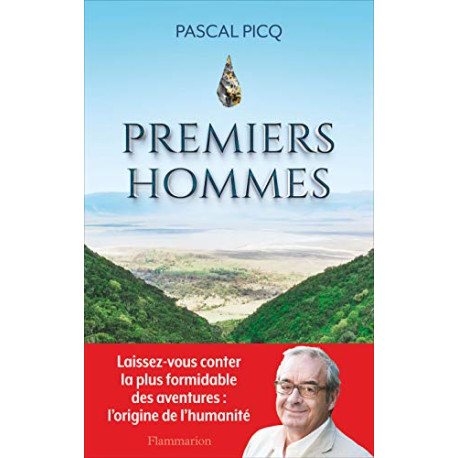 Premiers hommes: LA NOUVELLE HISTOIRE DE NOS ORIGINES