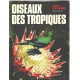 Oiseaux des tropiques