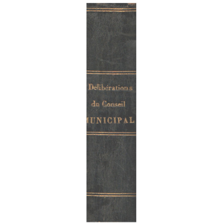 Délibérations du conseil municipal / année 1870-1871