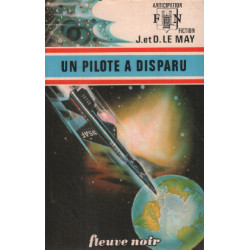 Un pilote a disparu