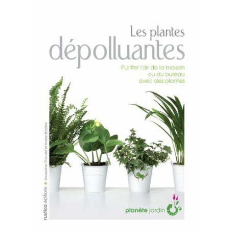 LES PLANTES DEPOLLUANTES