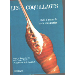 Les coquillages chefs d'oeuvre de la vie sous-marine