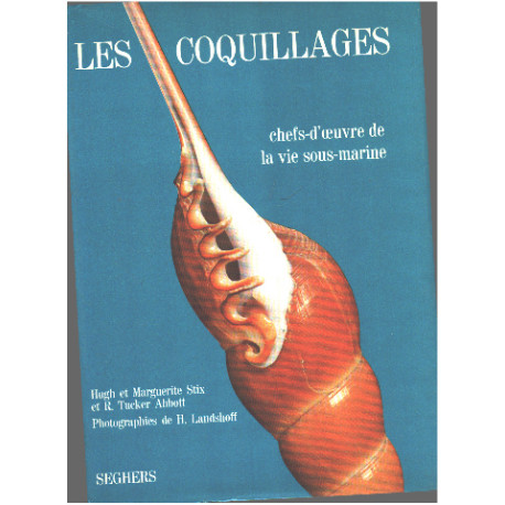 Les coquillages chefs d'oeuvre de la vie sous-marine