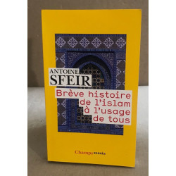 Brève histoire de l'islam à l'usage de tous