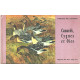 Canards cygnes et oies