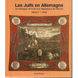 Les juifs en allemagne : de l'époque romaine à la république de weimar