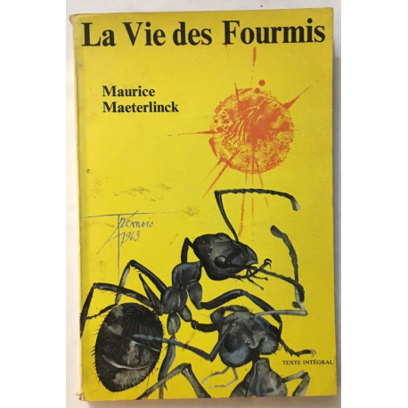 La vie des fourmis