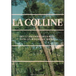 La colline / defi et paradoxe des forets dans les bouches du rhone