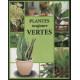 Plantes toujours vertes