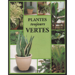 Plantes toujours vertes