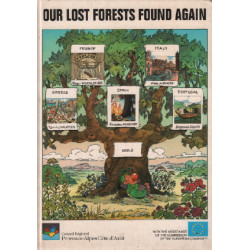 Our lost forests found again