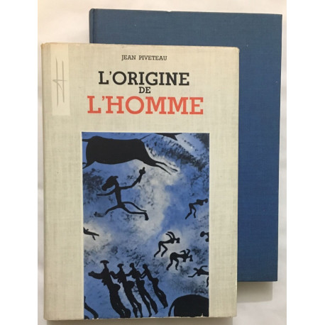 L' origine de l' homme