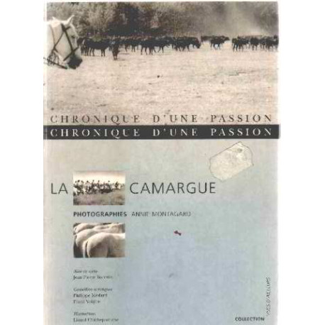 Chronique du passion : la camargue