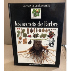 Les secrets de l'arbre