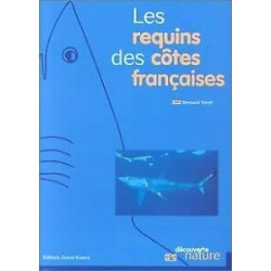 Les requins des côtes françaises