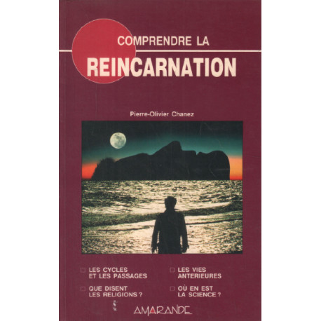 Comprendre la réincarnation