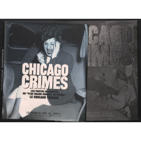 Chicago Crimes