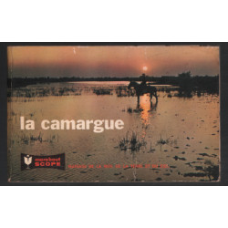 La camargue