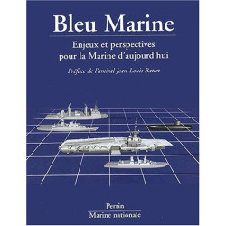 Bleu Marine. Enjeux et perspectives pour la Marine d'aujourd'hui