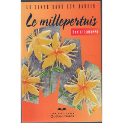 Le millepertuis: La santé dans son jardin