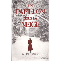 Un papillon sous la neige