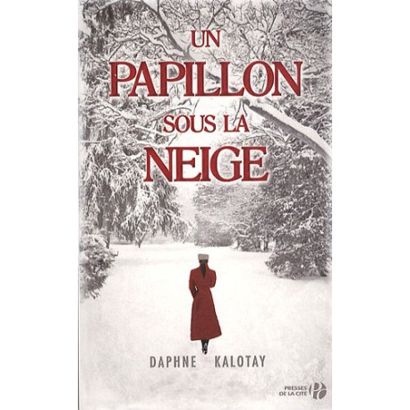 Un papillon sous la neige