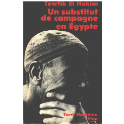 Un subsitut de campagne en egypte