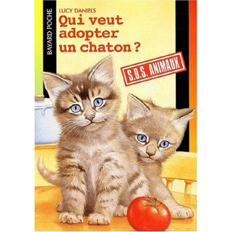 Qui veut adopter un chaton