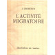L'activité migratoire / illustrations de l'auteur