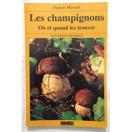 Les champignons : où et quand les trouver