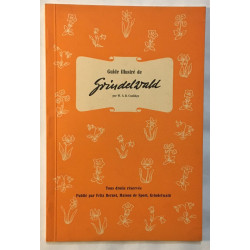 Guide illustré de Grindelwald