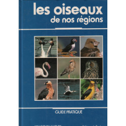 Les oiseaux de nos régions