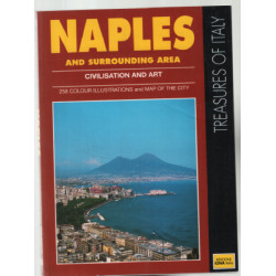 Naples and surrounding area : civilisation and art (258 colour...