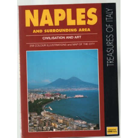 Naples and surrounding area : civilisation and art (258 colour...