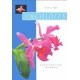 Orchidées: Comment les cultiver et les faire fleurir facilement