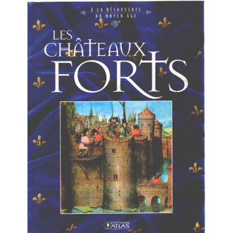 A la decouverte du moyen age :les chateaux-forts