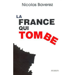 La France qui tombe : Un constat clinique du déclin français