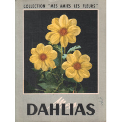 Dahlias