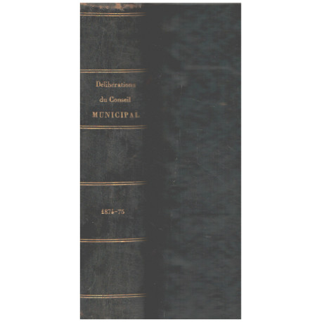 Délibérations du conseil municipal / année 1874-1875