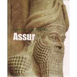 Proche et Moyen-Orient. Assur