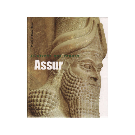 Proche et Moyen-Orient. Assur