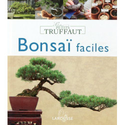 BonsaÎ faciles