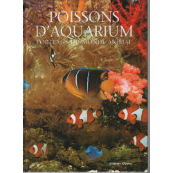 Poissons d'aquarium / portraits du monde animal