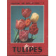 Tumipes et plantes bulbeuses de printemps